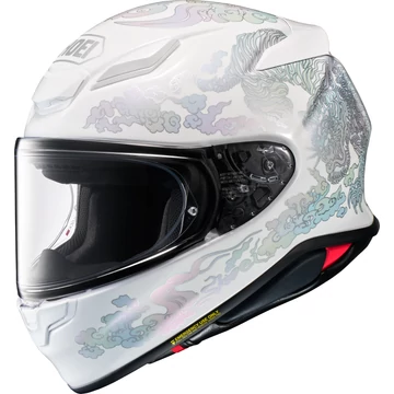 SHOEI NXR II Fearless TC-6