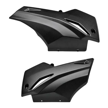 RS 660 carbon hasidom