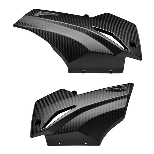 RS 660 carbon hasidom