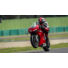 Kép 15/19 - Ducati Panigale V4 